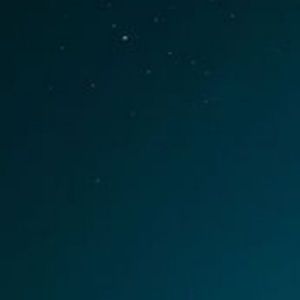 Meet your Posher, Lizzy